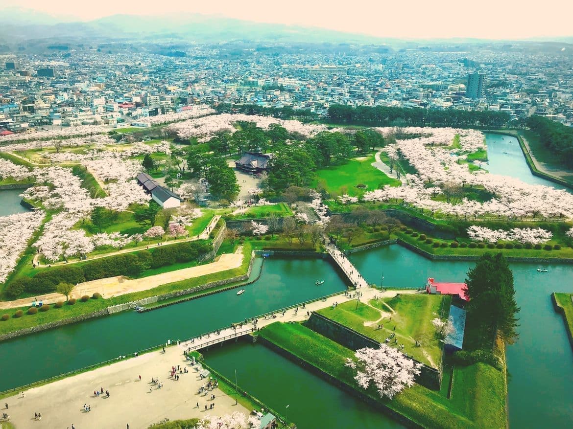 一番大好きな桜の名所「五稜郭」